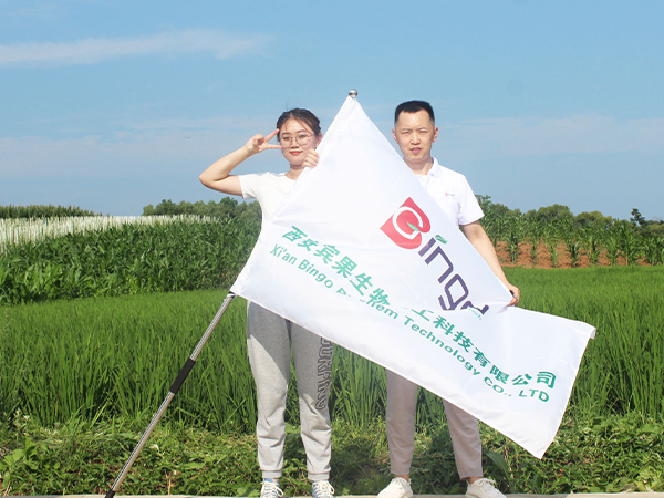 澳门1号生物员工活动——洋县蓝莓园